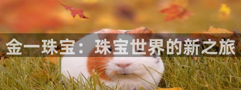 腾耀娱乐众320059:金一珠宝:珠宝世界的新之旅