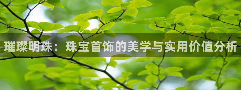 众腾娱乐梦幻演艺店:璀璨明珠:珠宝首饰的美学与实用价值分析