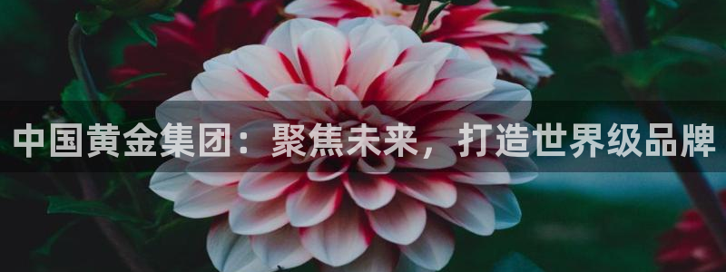 众腾娱乐APP下载:中国黄金集团:聚焦未来,打造世界级品牌