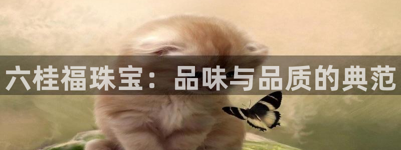 众腾娱乐发7O777:六桂福珠宝:品味与品质的典范