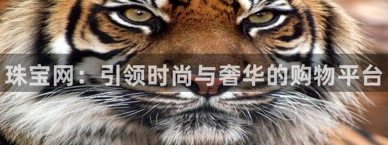 众腾娱乐app:珠宝网:引领时尚与奢华的购物平台