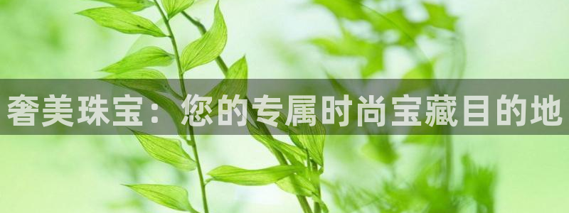 众腾娱乐注册:奢美珠宝:您的专属时尚宝藏目的地