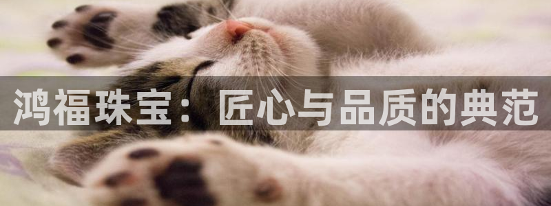 腾众娱乐的彩票靠谱吗:鸿福珠宝:匠心与品质的典范
