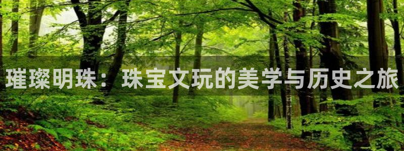 众腾娱乐平台官网入口:璀璨明珠:珠宝文玩的美学与历史之旅