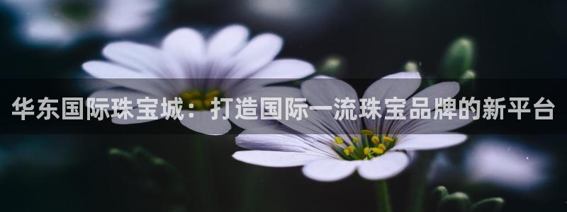 众腾娱乐平台官网入口:华东国际珠宝城:打造国际一流珠宝品牌的